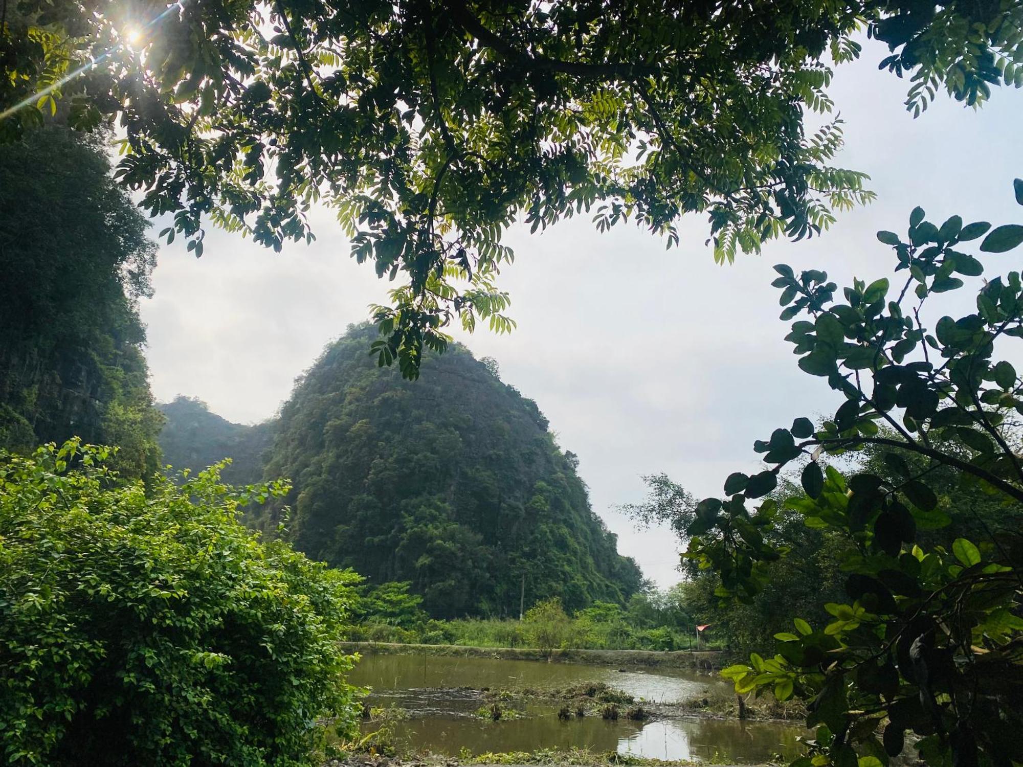 Tamcoc Viet Tan Homestay & Garden Ниньбинь Экстерьер фото