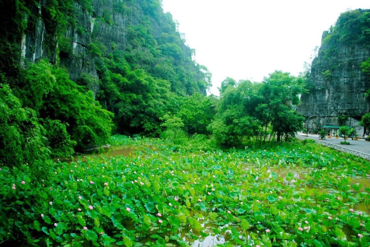 Tamcoc Viet Tan Homestay & Garden Ниньбинь Экстерьер фото
