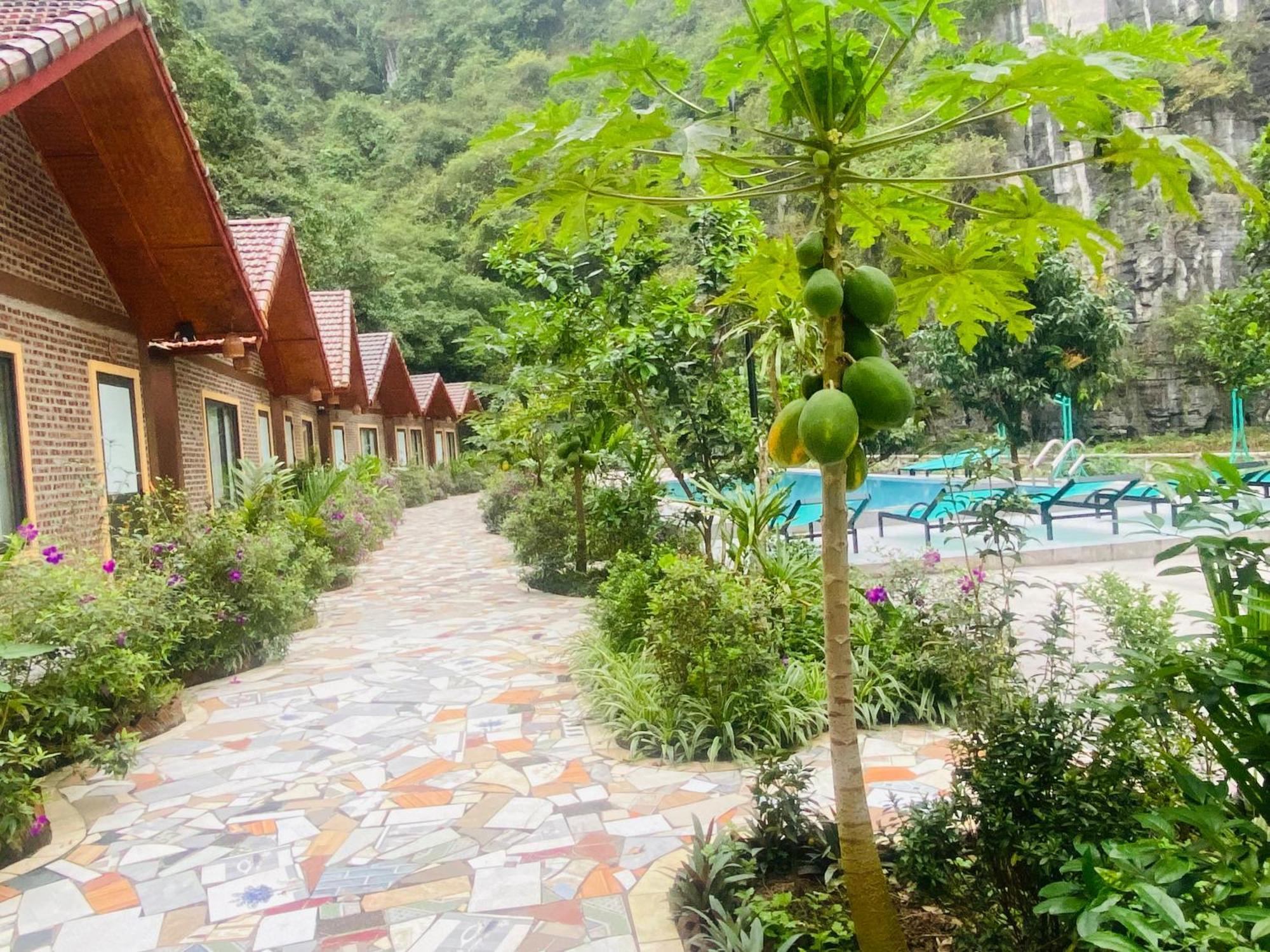 Tamcoc Viet Tan Homestay & Garden Ниньбинь Экстерьер фото